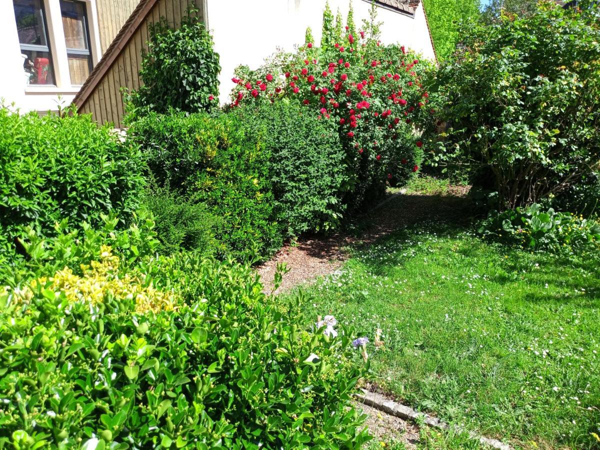 Apartament L'Essentiel De Chartres Zewnętrze zdjęcie